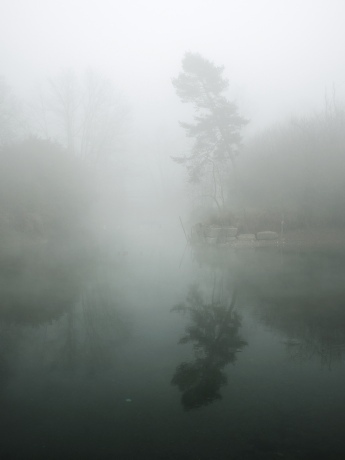 The mist