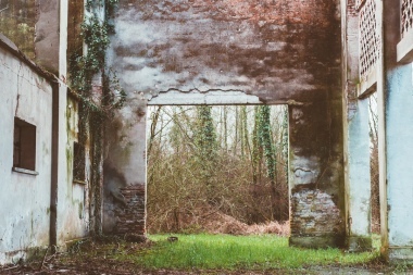 Una porta sul bosco