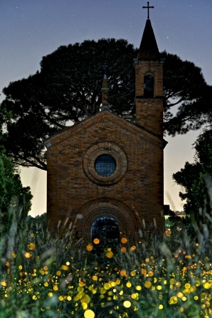Church and fireflies