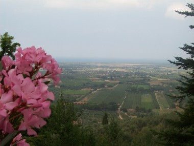 ...Paesaggio Toscana...