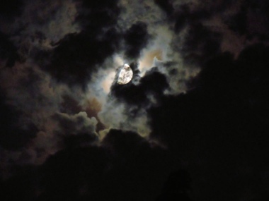 Oscura,nascosta,incantevole la luna....