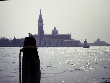 Dear Venice...