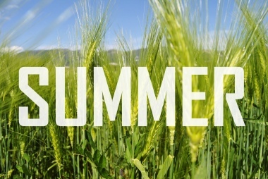 SUMMER - Inizio estate....