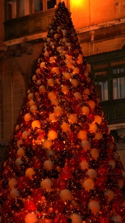 L'albero a Valletta, Malta., di Flavia