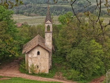 La chiesa nel bosco