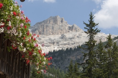 I fiori e la montagna