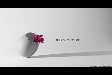 The beauty of life