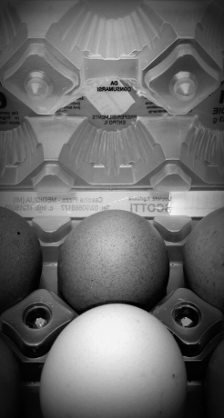 le uova nel "paniere"